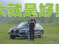 ao全称和中文意思-多宝娱乐网站