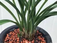 ;劮春6?謿a?u怜穧(睙鏃呮父嗘梾琛屾帹鑽愬畼鏃呮父鏀荤暐)-多宝在线入口