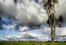 国王杯倒计时，皇家马德里今晚调整名单，细节引发关注，底气十足，训练强度明显提升 -多宝娱乐平台